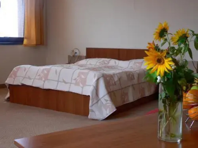 Hotel Bistrica