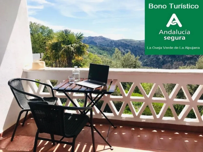 1 Bedroom Double Family Basement Apartment with garden view