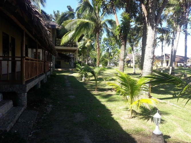 Standard Double room with garden view