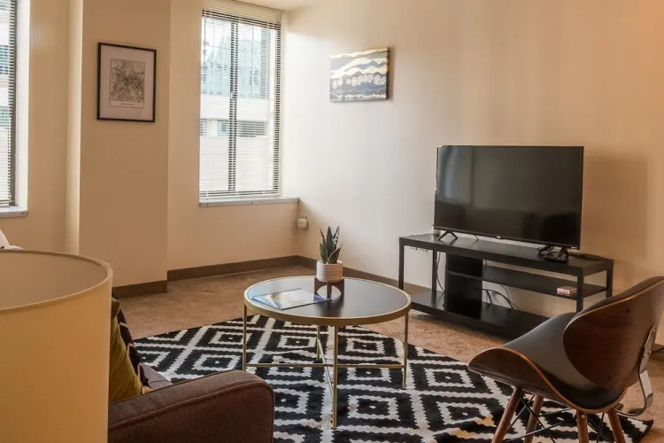 Stylish Apartments in Downtown