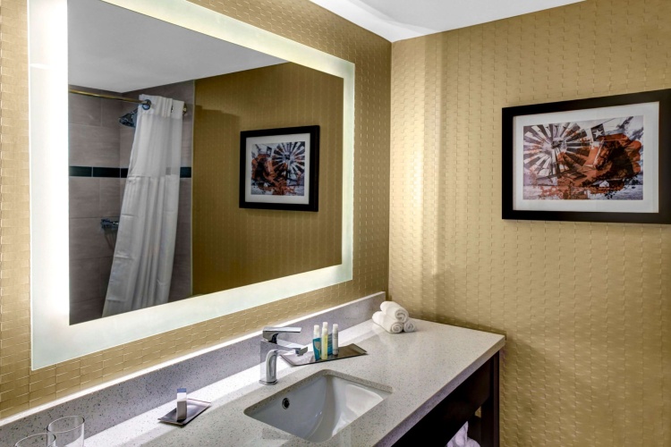 DoubleTree by Hilton Hotel Arlington DFW South photo 8
