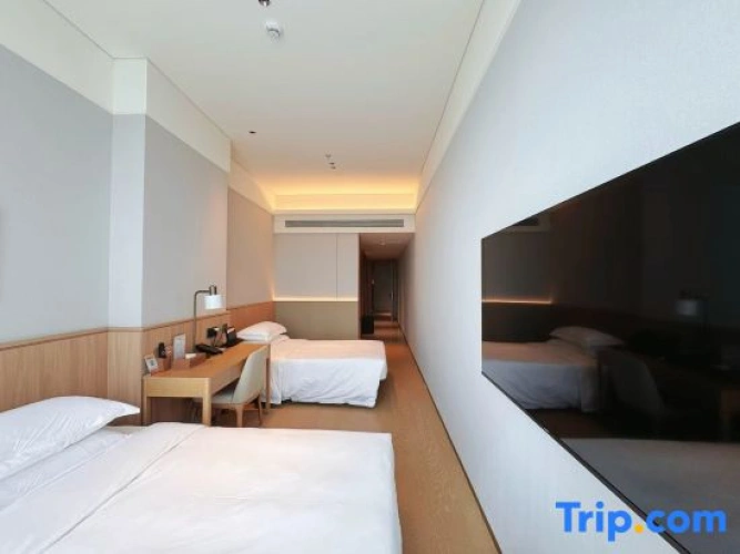 Deluxe Twin room with city view