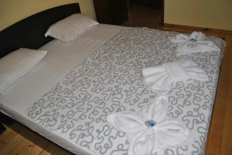 Hotel Mountain View