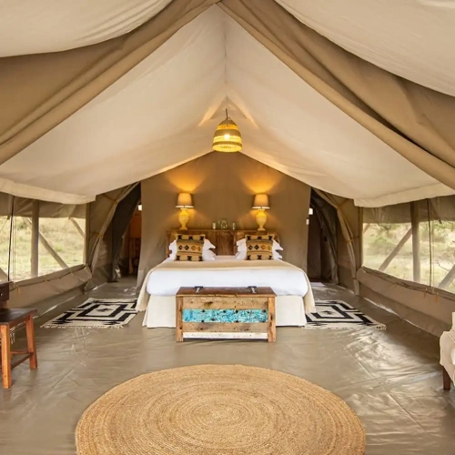 Tent