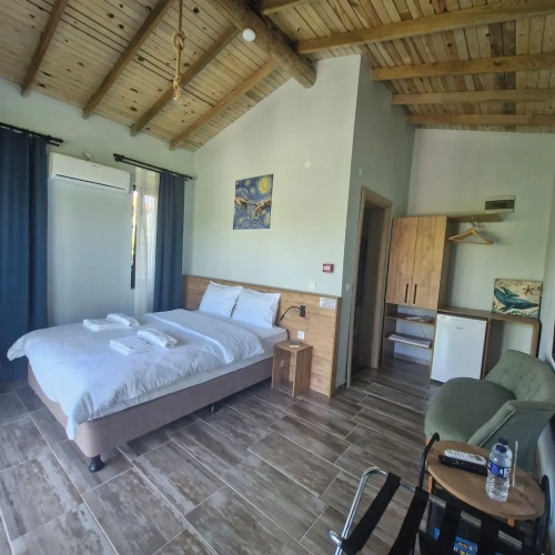 Standard Double room with garden view