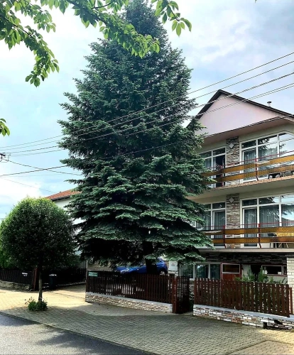Comfort room with balcony and with garden view