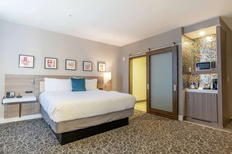 1 Bedroom Suite