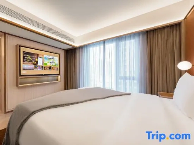 Twin Suite