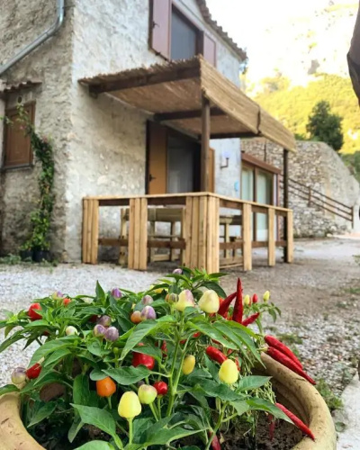 Tenuta Bosco