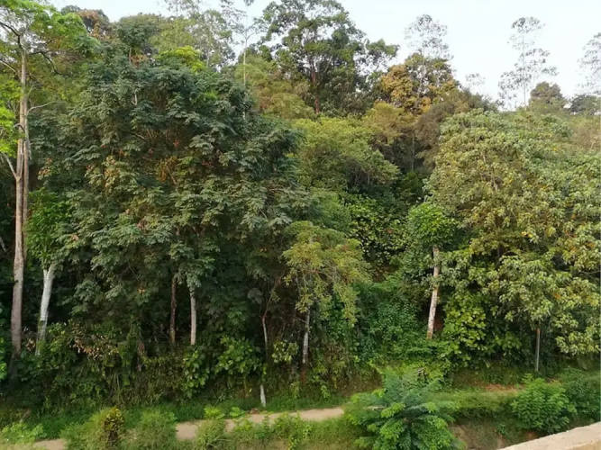 Thilini Hotel Apartment