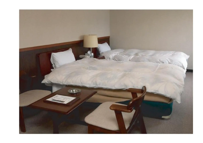 Economy Twin room