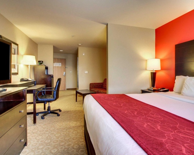 1 Bedroom Suite