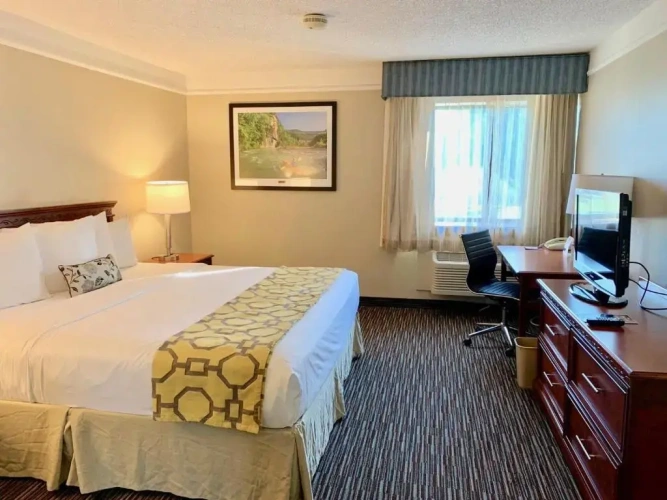 1 Bedroom Double Suite