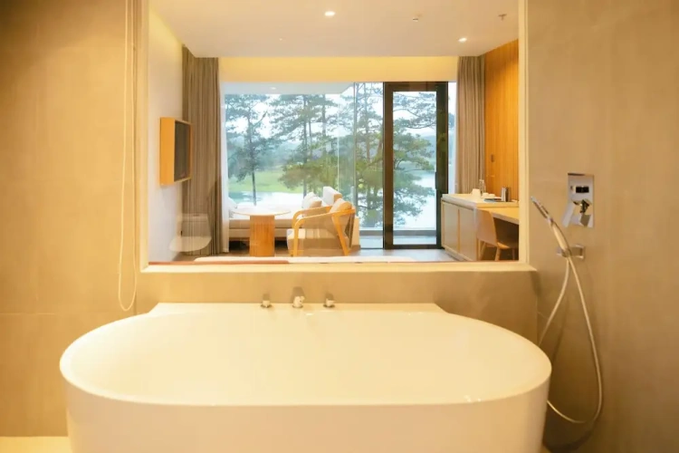 Standard Double room with lake view