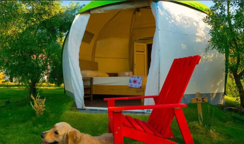 Chingene Glamping