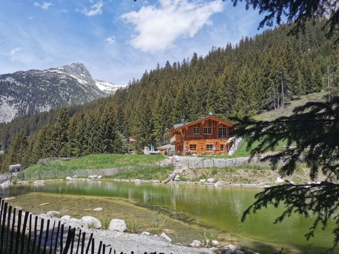 1 Bedroom Premium Apartment with balcony and with mountain view