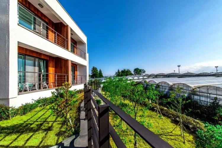 1 Bedroom Cottage