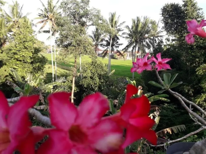 Deluxe Double room with view