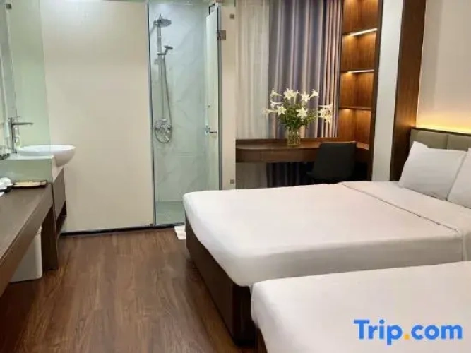 Deluxe Single Family room with city view