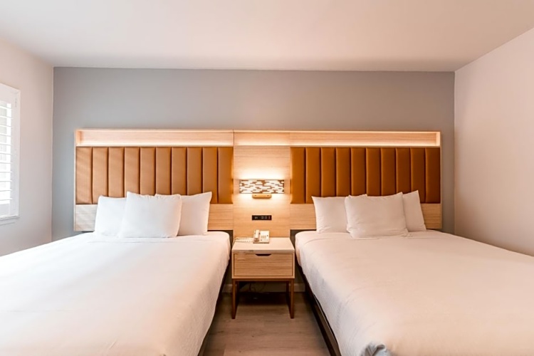 Deluxe Twin Suite