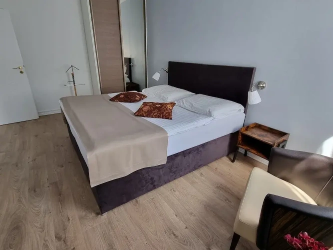1 Bedroom Standard Apartment