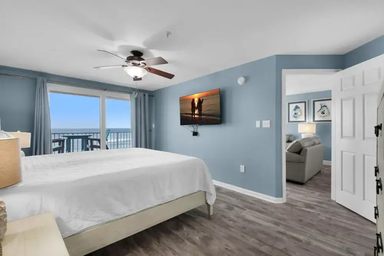 The Palms #501