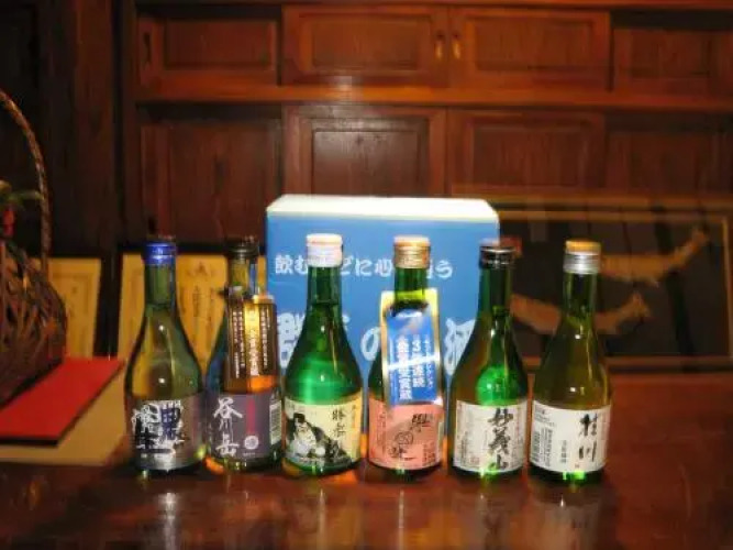 Houshi Onsen ChojukanOver view