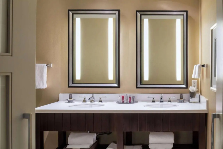 Wyndham Atlanta Buckhead Hotel & Conference Center photo 10