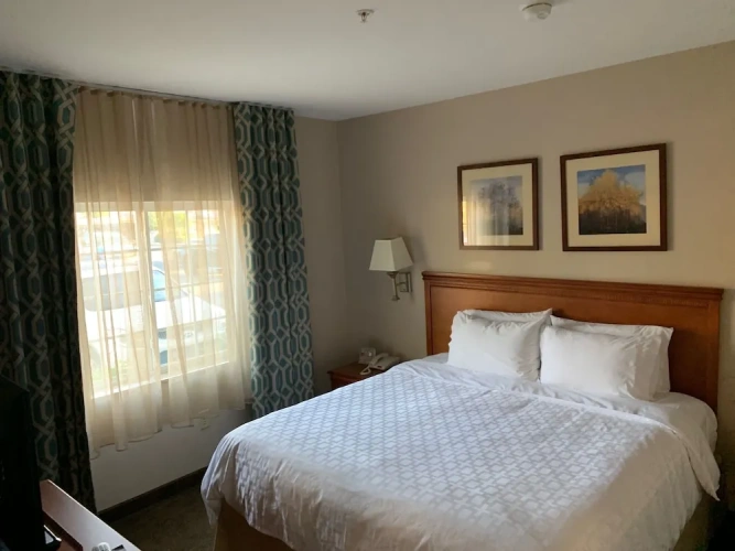 1 Bedroom Suite
