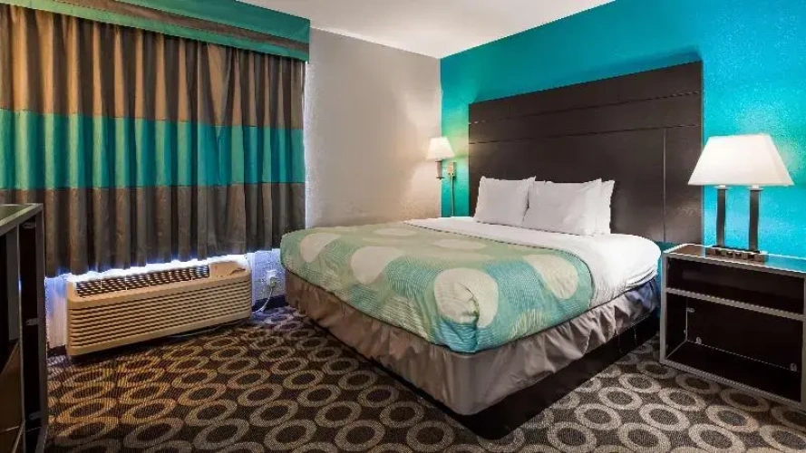 1 Bedroom Standard Double room
