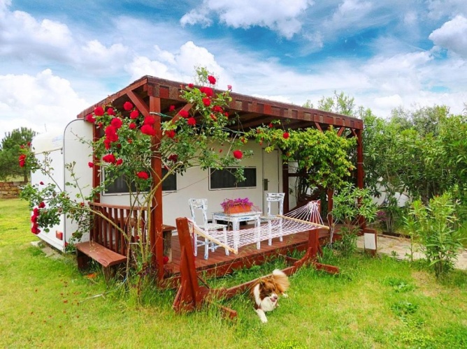 Standard Quadruple room with garden view