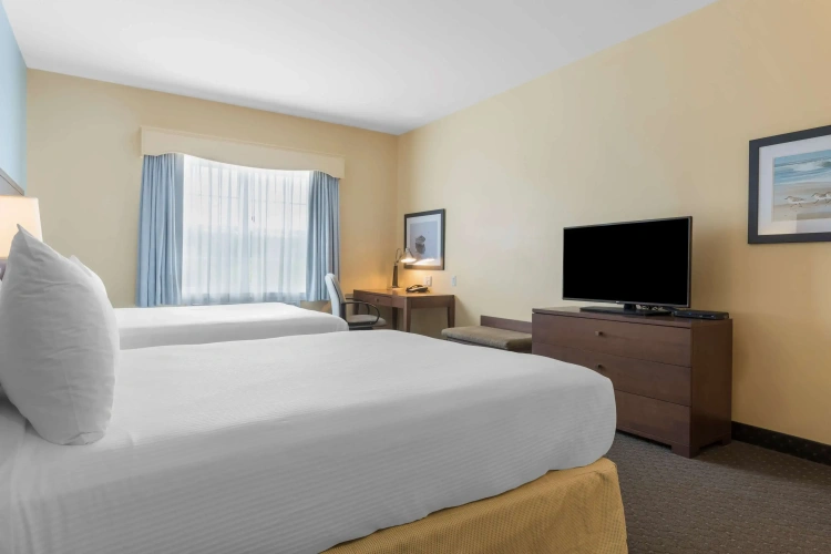 Quadruple Suite