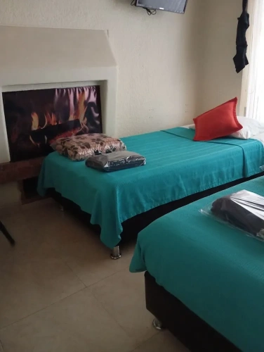 Standard Double room with garden view