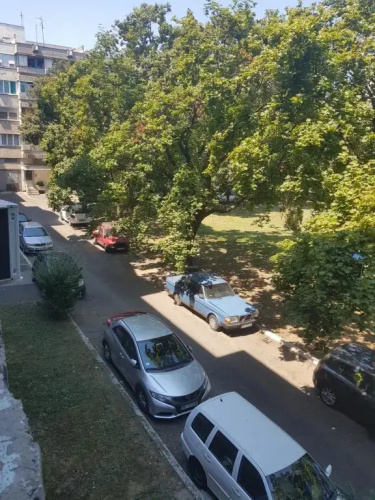 Apartman Wish