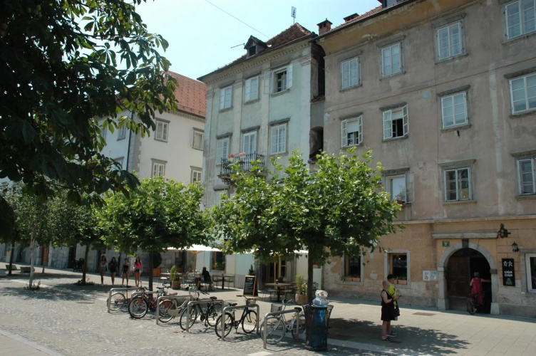 Vitez Apartment II