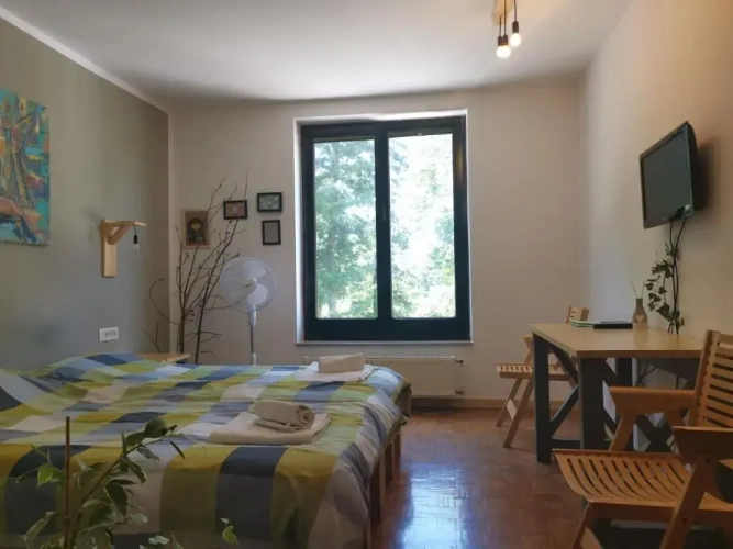 Superior Double room with park view