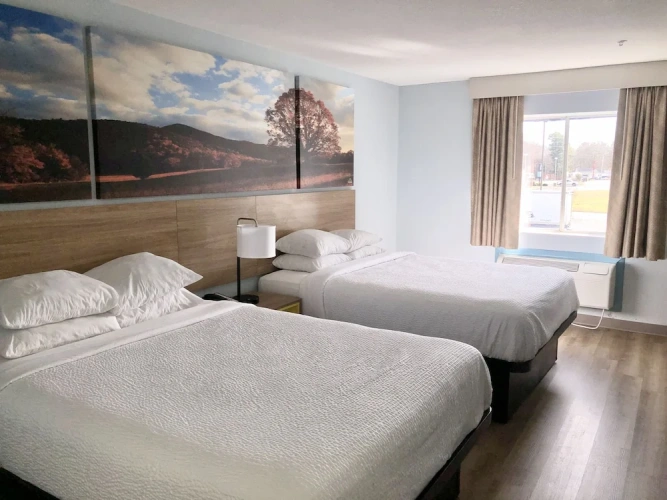 Quadruple Suite