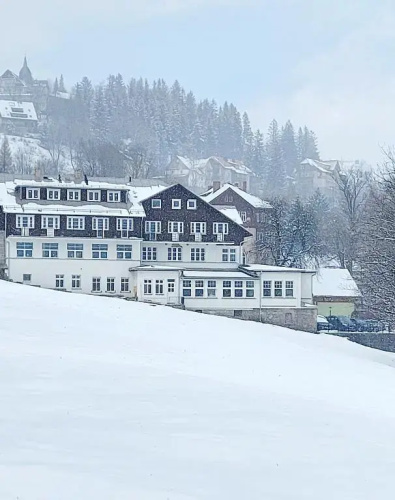 Saneczkowa3.10