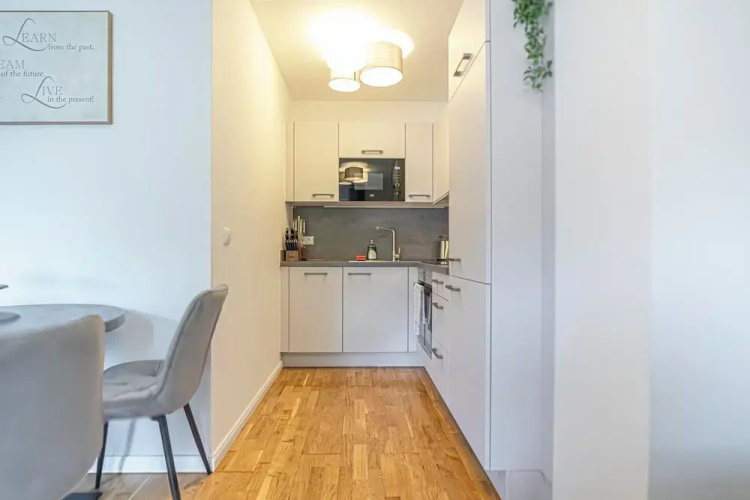 Cozy 1BR 1LR Apartment Balcony City