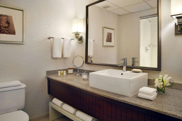 Hyatt Regency St. Louis at The Arch photo 12