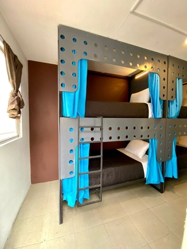 Bed in Dorm