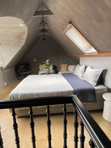 Luxury Duplex room with city view