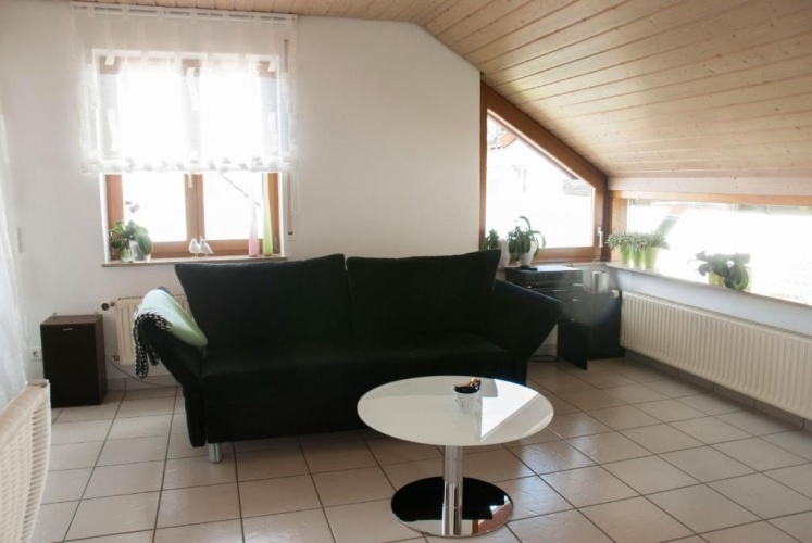 Superior Apartment with balcony and with view