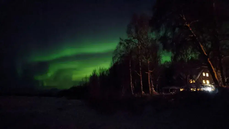 Backwoods Cabins at Susitna River Lodge