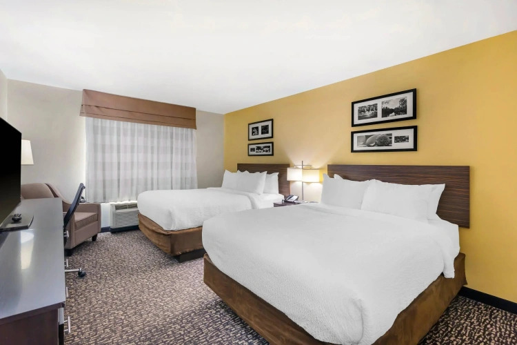 Standard Quadruple room
