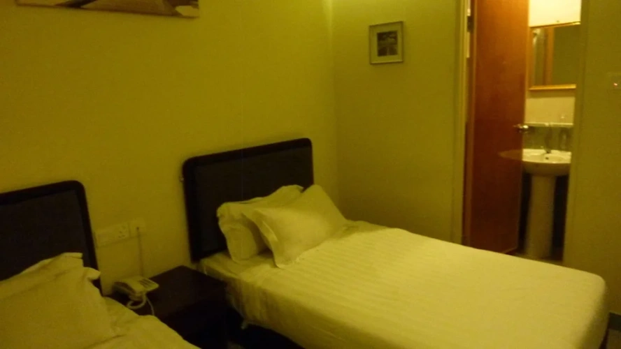 Deluxe Twin room with city view