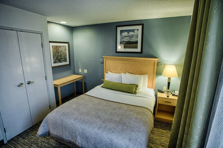 1 Bedroom Double Suite