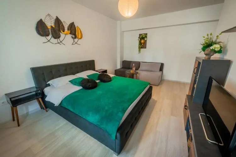 1 Bedroom Double Apartment