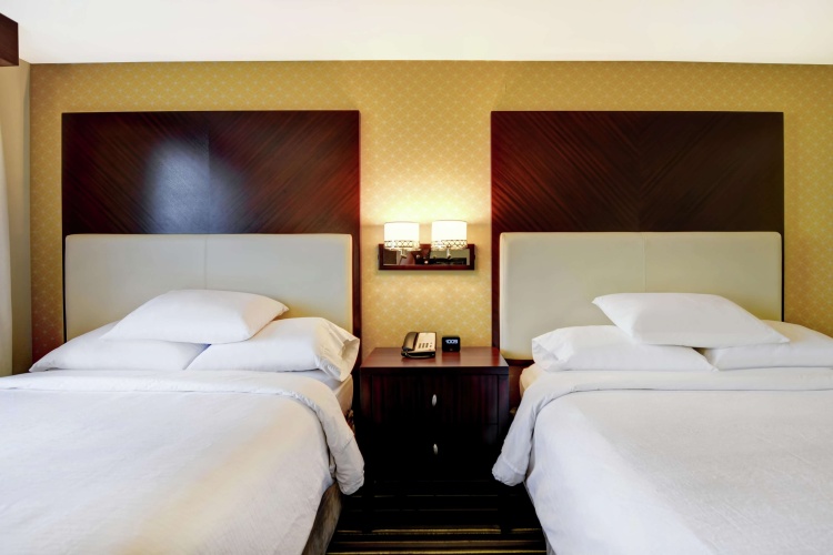 Embassy Suites by Hilton Savannah Airport photo 7