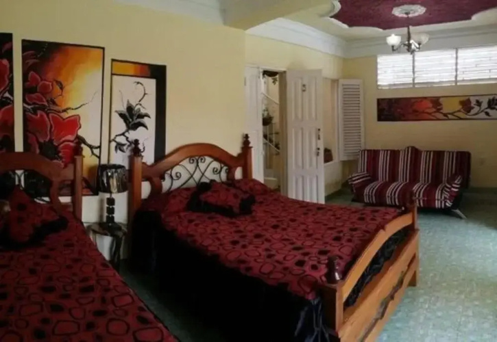 Girasol and Friends Rooms